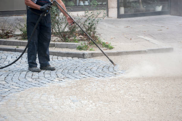 Best Driveway Pressure Washing  in Pageland, SC